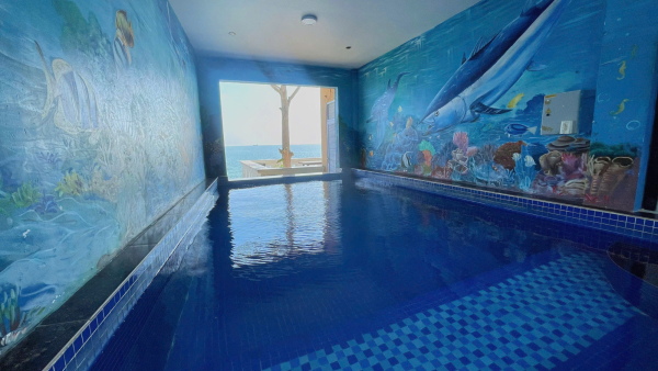 Nhà Phố Hồ Bơi Sân Vườn Vũng Tàu Bãi Dâu - 71A Trần Phú - VT0627