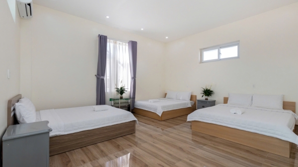 Nhà Phố Hồ Bơi Sân Vườn Vũng Tàu Bãi Sau - G4 Thái Văn Lung - VT0615