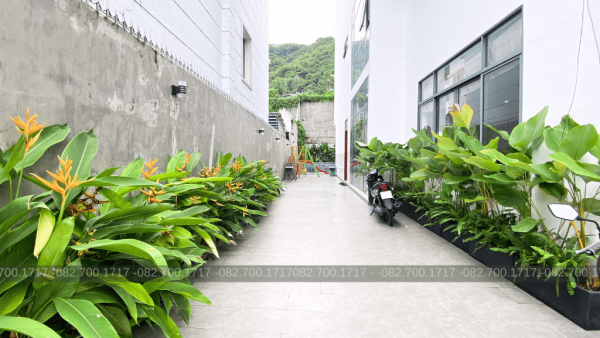 Villa Vũng Tàu Bãi Sau - 298/6A Phan Chu Trinh -  VT0008