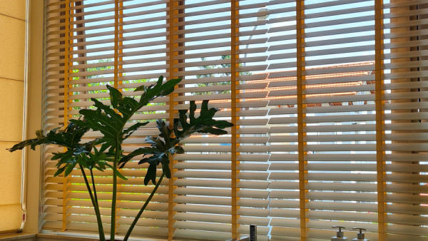 Villa Vũng Tàu Bãi Sau - 84/B13 Phan Chu Trinh - VT0678