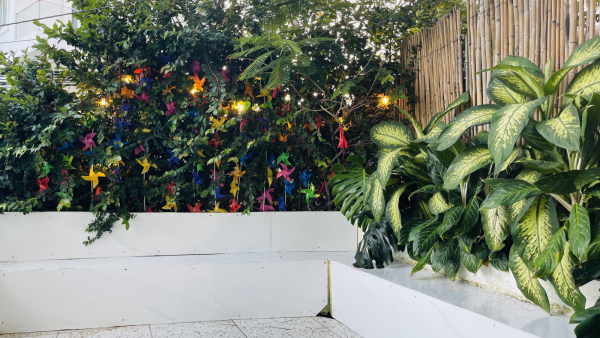 Villa Vũng Tàu Bãi Trước - 12/6H Trần Phú - VT0010