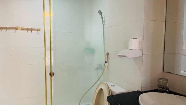 Villa Vũng Tàu Bãi Trước - 12/6H Trần Phú - VT0010