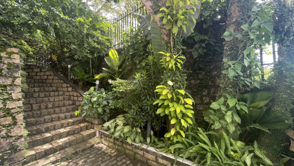 Villa Vũng Tàu Bãi Trước - 12/10B Trần Phú - VT0203