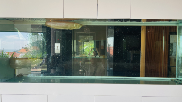 Villa Vũng Tàu Bãi Trước - 12/10B Trần Phú - VT0203