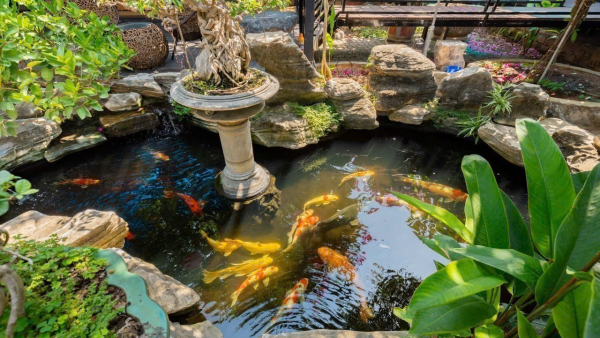 Villa Vũng Tàu Long Cung - 5 Nguyễn Đình Tứ - VT0024