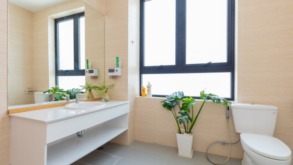 Villa Vũng Tàu Long Cung - C23 Ba Vì - VT0141