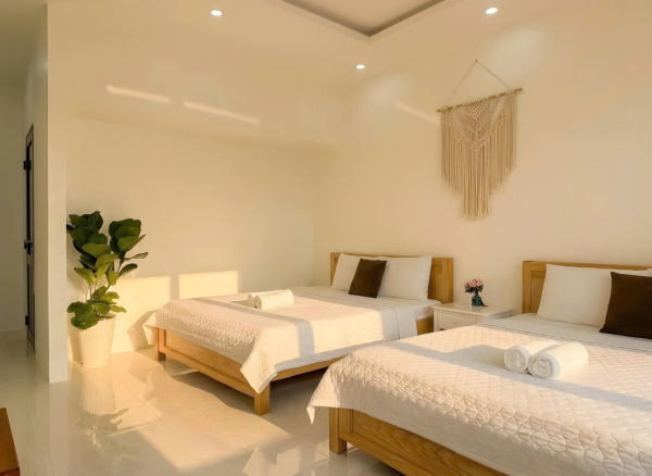 Nhà Phố Hồ Bơi Vũng Tàu Bãi Dâu - 86 Trần Phú - VT0279