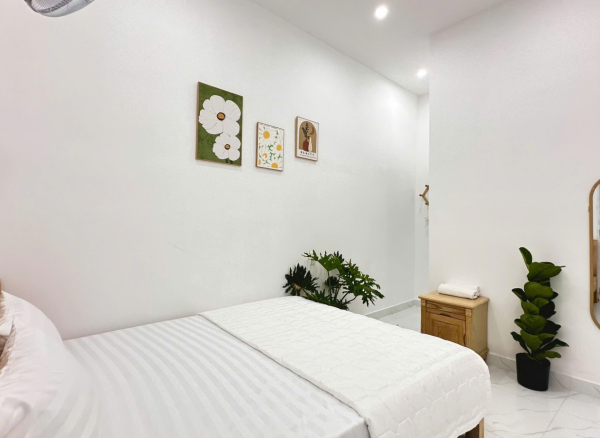 Nhà Phố Hồ Bơi Sân Vườn Vũng Tàu Bãi Sau - 268 Phan Chu Trinh - VT0357