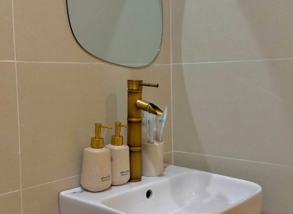 Nhà Phố Hồ Bơi Sân Vườn Vũng Tàu Bãi Sau - A37 Trần Thượng Xuyên - VT1066