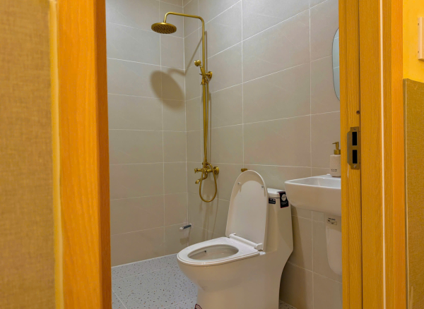 Nhà Phố Hồ Bơi Sân Vườn Vũng Tàu Bãi Sau - A37 Trần Thượng Xuyên - VT1066